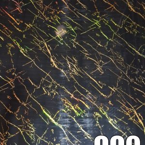 Placa imitación marmol 009